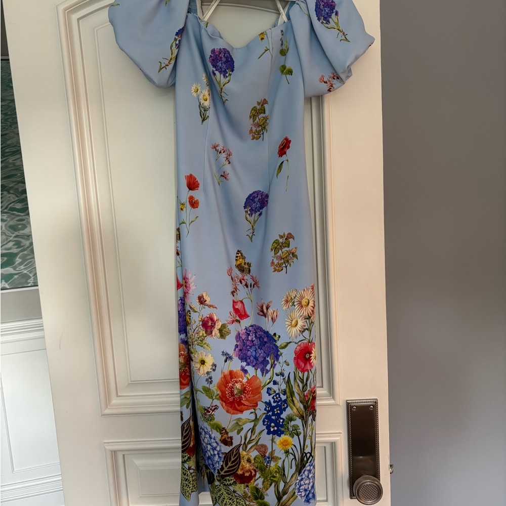 Cara Cara Blue Floral Dress